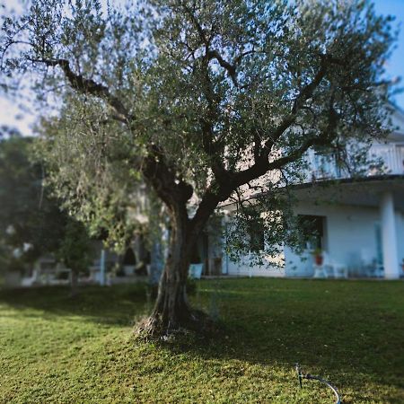 Villa Margherita San Giovanni Teatino Buitenkant foto