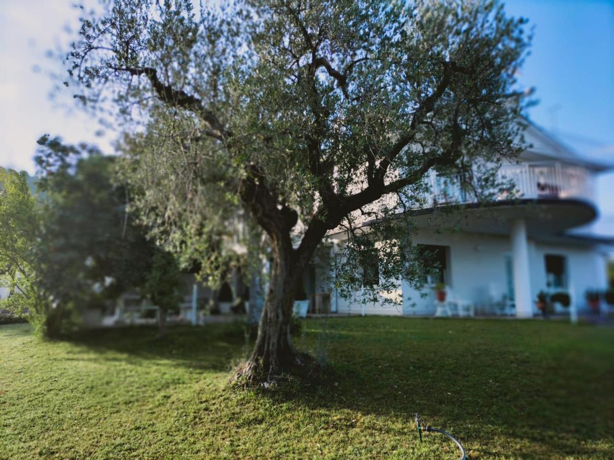 Villa Margherita San Giovanni Teatino Buitenkant foto